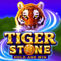 Tiger Stone