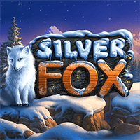 Silver Fox