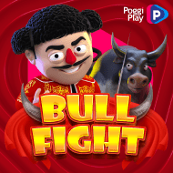 Bull Fight