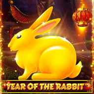 Year Of The Rabbit
