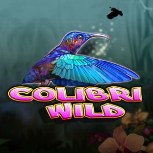 Colibri Wild
