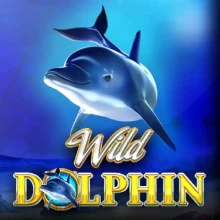 Wild Dolphin