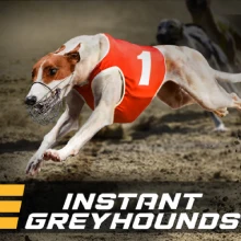 Instant Greyhounds