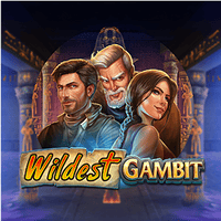 Wildest Gambit