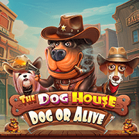 The Dog House – Dog or Alive