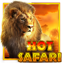 Hot Safari