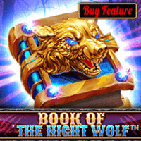 Book Of The Night Wolf