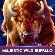 Majestic Wild Buffalo